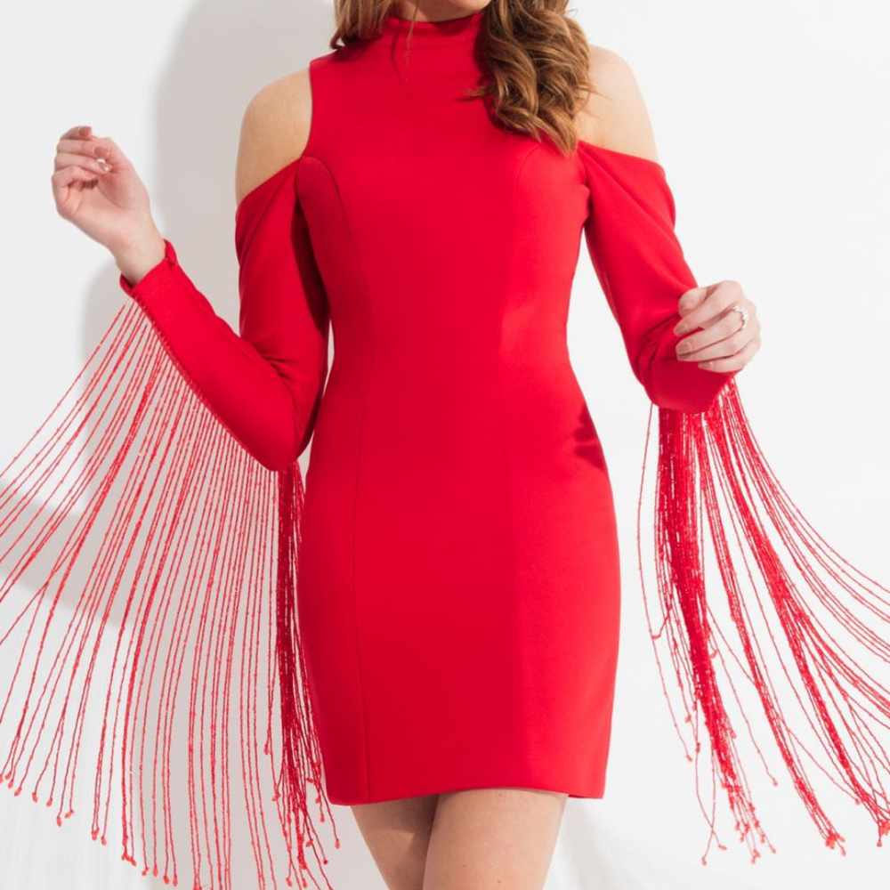 NWT Rachel Allan dress